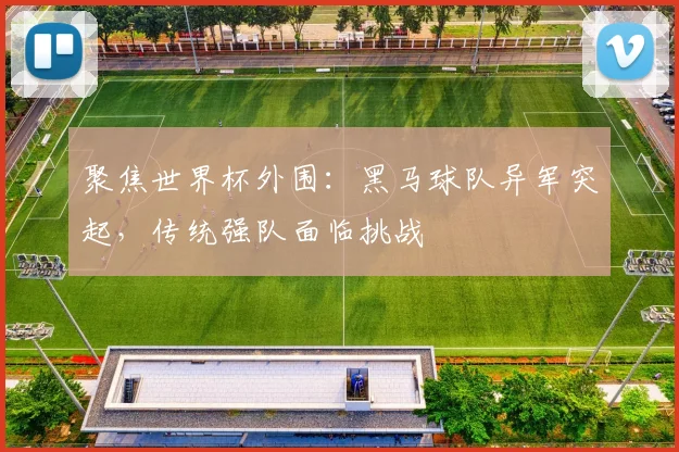聚焦世界杯外围:黑马球队异军突起,传统强队面临挑战