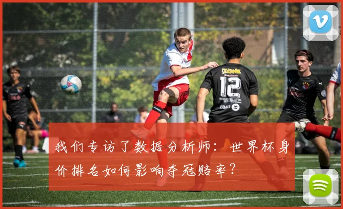 我们专访了数据分析师：世界杯身价排名如何影响夺冠赔率？