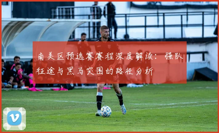 南美区预选赛赛程深度解读：强队征途与黑马突围的路径分析