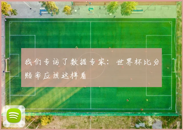 我们专访了数据专家：世界杯比分赔率应该这样看
