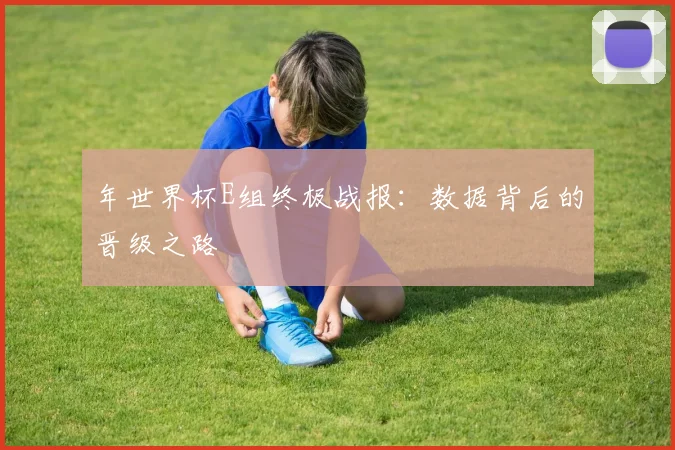 年世界杯E组终极战报：数据背后的晋级之路