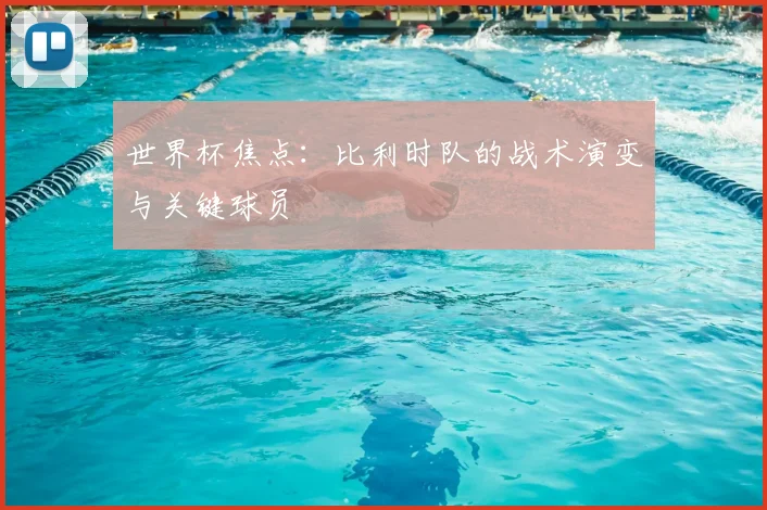 世界杯焦点:比利时队的战术演变与关键球员