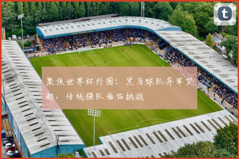 聚焦世界杯外围:黑马球队异军突起,传统强队面临挑战