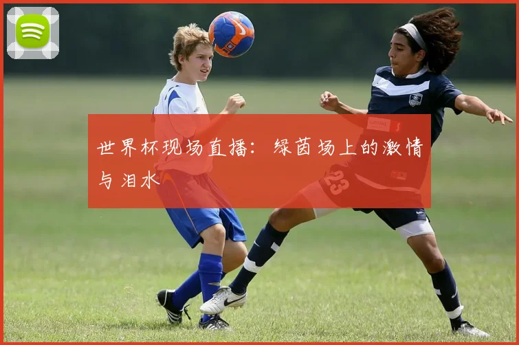 世界杯现场直播：绿茵场上的激情与泪水