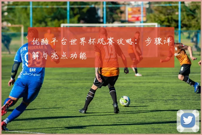 优酷平台世界杯观赛攻略：步骤详解与亮点功能