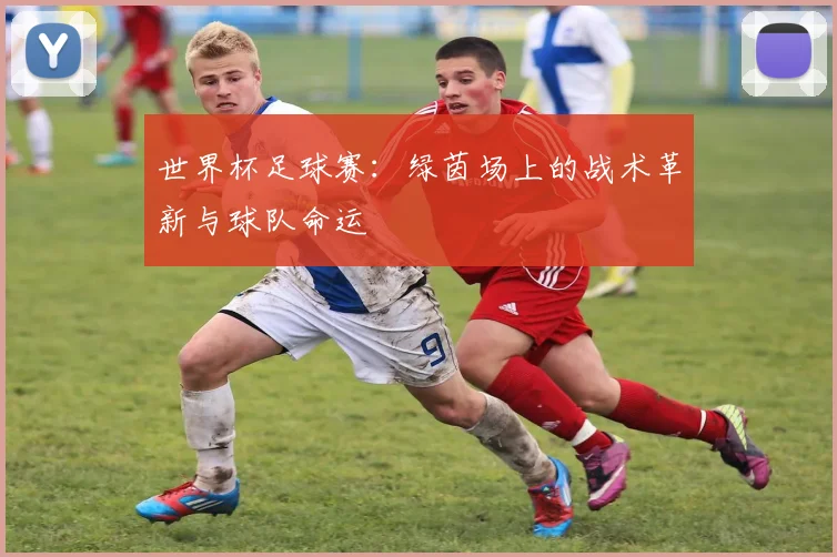 世界杯足球赛:绿茵场上的战术革新与球队命运