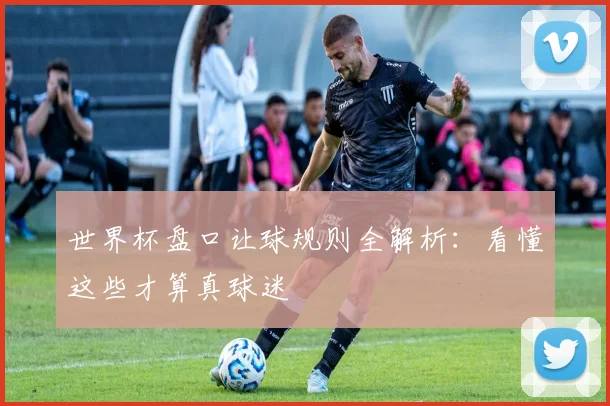 世界杯盘口让球规则全解析：看懂这些才算真球迷