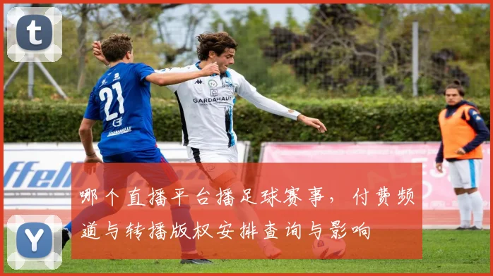 哪个直播平台播足球赛事,付费频道与转播版权安排查询与影响