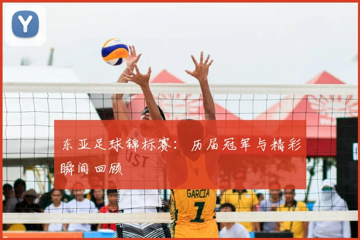 东亚足球锦标赛：历届冠军与精彩瞬间回顾