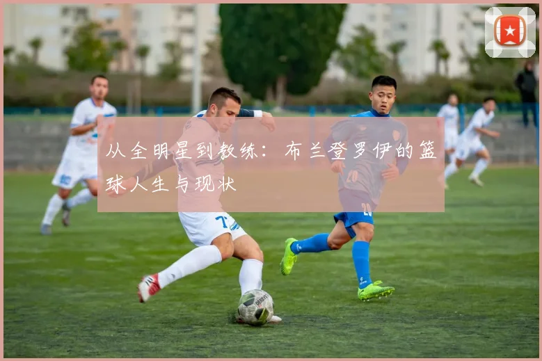 从全明星到教练：布兰登罗伊的篮球人生与现状