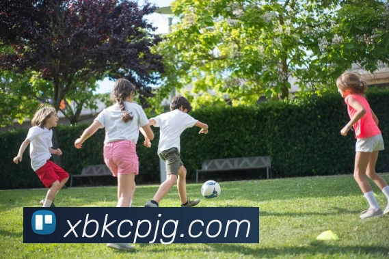 米兰体育在线登陆入口APP 高清赛事图